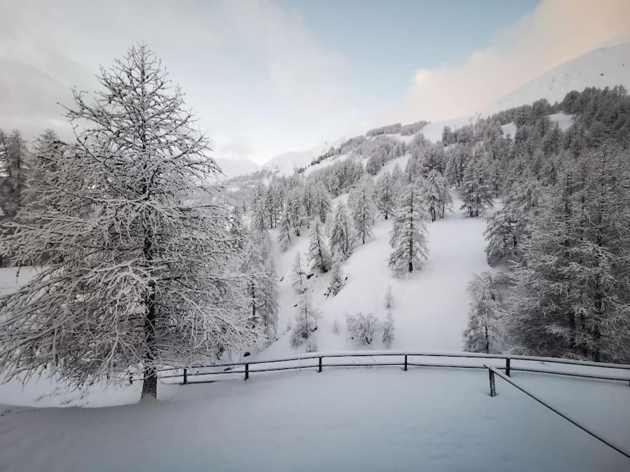Cosy Apart, Ski Snow Surf, Foux D'Allos Avec Vue Eksteriør bilde